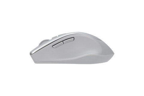 Asus Asus WT425 MOUSE/SIL