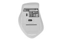 Asus Asus WT425 MOUSE/SIL