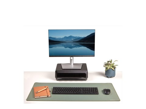 Fellowes Fellowes Breyta Desk Mat - Sage | Fellowes