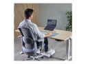 Fellowes Przenośna podstawka pod laptop Fellowes Alumia - czarna | Fellowes
