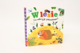 Co odkryję paluszkiem? W lesie 34063 AKSJOMAT