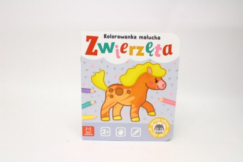 Kolorowanka malucha Zwierzęta 36814 AKSJOMAT