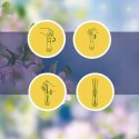 Air Wick Pachnące Patyczki Szlachetny Jedwab z Orientalną Orchideą/Precious Silk & Oriental Orchids 25ml