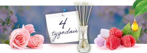 Air Wick Pachnące Patyczki Tajemnicze Ogrody z Dzieciństwa/Mystical Gardens 30 ml