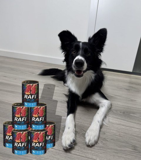 Zestaw 24x400g Karma Mokra Dla Psów RAFI MIX Smaków (Jagnięcina, Wołowina)