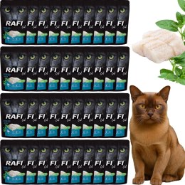 RAFI Karma Mokra Pasztet Dla Kota z Dorszem 100g x 40 szt.
