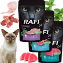 Zestaw RAFI Karma Mokra Pasztet Dla Kotów Sterylizowanych MIX Smaków 100g x 3 szt.