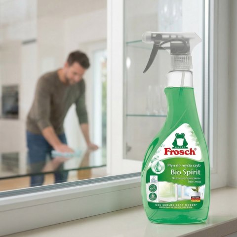 Frosch Płyn Do Mycia Szyb Bio Spirit Skuteczne Czyszczenie Bez Smug 500ml