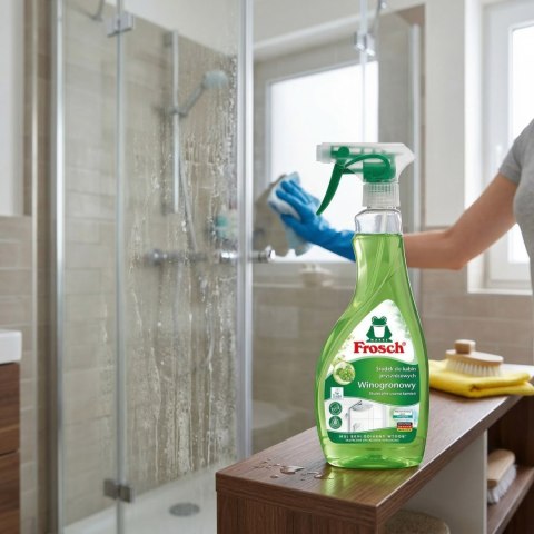 Frosch Środek Do Kabin Prysznicowych Na Kamień I Osady Winogronowy 500ml