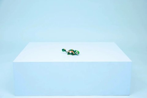 31377 - LEGO Creator - Żółw i kwiat lilii wodnej