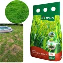 BOPON - Trawa Samozagęszczająca 200 m² - 5 kg