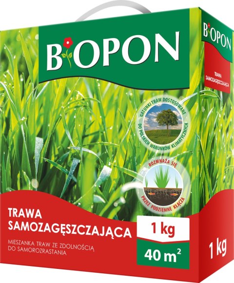 BOPON - Trawa Samozagęszczająca 40 m² - 1 kg