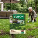 BOPON - Trawa W Cieniu Do Miejsc Słabo Nasłonecznionych 20 m² - 0,5kg
