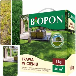 BOPON - Trawa W Cieniu Do Miejsc Słabo Nasłonecznionych 40 m² - 1 kg