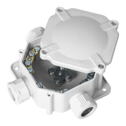 Puszka hermetyczna IP67 / 4 dławnice / 144x144