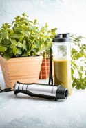 CR 4615 Blender ręczny smoothie