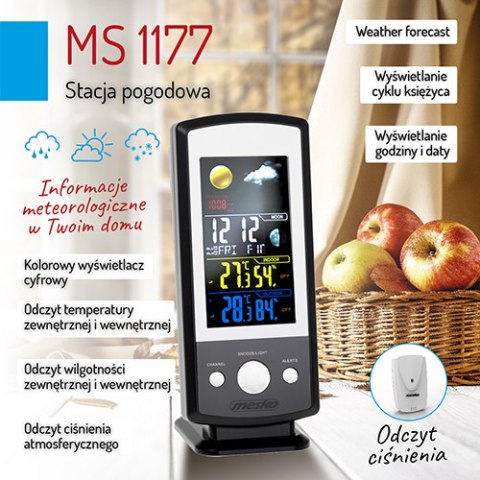 MS 1177 Stacja pogodowa