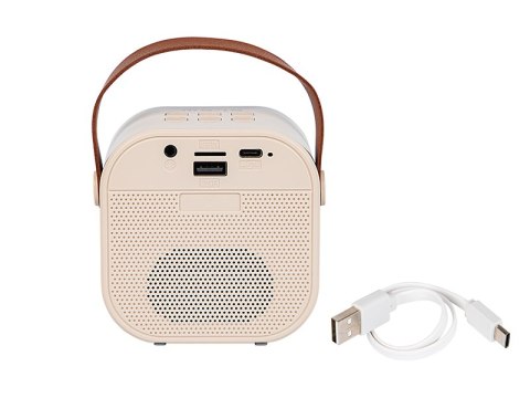 30-358# Głośnik bluetooth karaoke rgb 2 mikrofony`