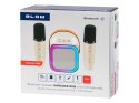 30-358# Głośnik bluetooth karaoke rgb 2 mikrofony`