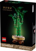 Klocki botanicals 10344 dracena sandera