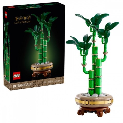 Klocki botanicals 10344 dracena sandera