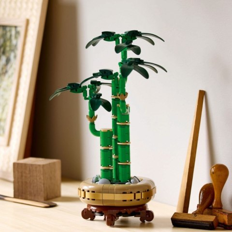 Klocki botanicals 10344 dracena sandera