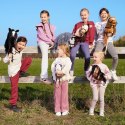 Koń na kiju hobby horse hoppihorse a3 leopard - biały, maść tarantowata