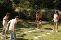 Gra dobble gigant