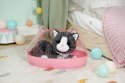 Maskotka interaktywna baby born mój kot cookie z pudełkiem