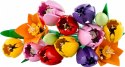 Klocki botanicals 11501 bukiet tulipanów