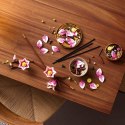Klocki botanicals 11510 gałązki magnolii
