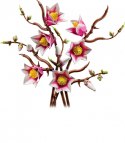 Klocki botanicals 11510 gałązki magnolii