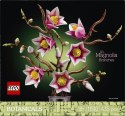 Klocki botanicals 11510 gałązki magnolii