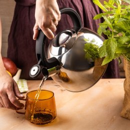 Czajnik tradycyjny 2,5l srebrny klausberg