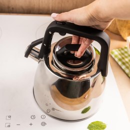 Czajnik tradycyjny 2,5l srebrny klausberg