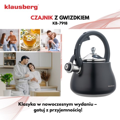 Czajnik z gwizdkiem, stal nierdzewna, czarny ze srebrnymi elementami, 2,8l, klausberg, kb-7918