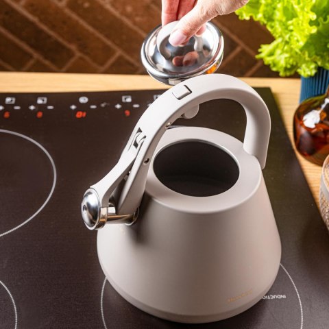 Czajnik stalowy z gwizdkiem 2,5 l szary mat, indukcja, klausberg kb-7949