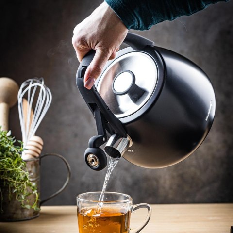 Czajnik ze stali nierdzewnej z gwizdkiem, czarny, pojemność 2,5l, klausberg, kb-7774