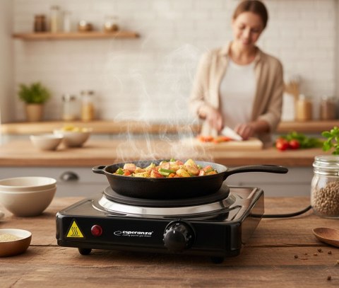 Kuchenka Esperanza St. Helens EKH003K (1 pole grzejne; 1000W)