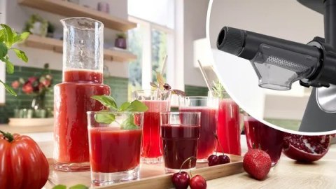 Maszynka do mielenia BOSCH MFWS650B