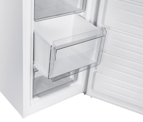 Zamrażarka wolnostojąca MPM MPM-161-ZF-19/D No Frost | 161 l | 12 kg/24h | 143 cm | biały