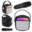 Głośnik bluetooth z mikrofonem do Karaoke ADLER AD 1199b