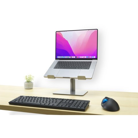 Kensington Uniwersalna podstawka pod laptopa