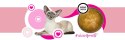 3Coty TURKEY Cheers! Complementary feed cats 160g