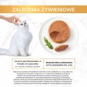 PURINA GOURMET GOLD Mus 96x85g