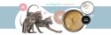3Coty TURKEY + CHICKEN for Kittens 180g