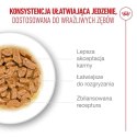 ROYAL CANIN FHN Cat Ageing 11+ Gravy 12x85g