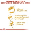 ROYAL CANIN Persian Adult - karma dla kota rasy pers - 2kg