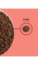 ACANA Highest Protein Indoor Cat 4,5kg