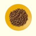 APPLAWS CAT Kitten Kurczak - karma dla kociąt z wysoką zawartością mięsa - 2kg